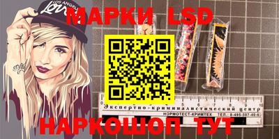 индика Можайск