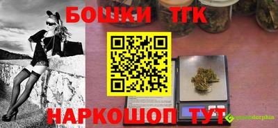 индика Можайск