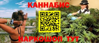 индика Можайск