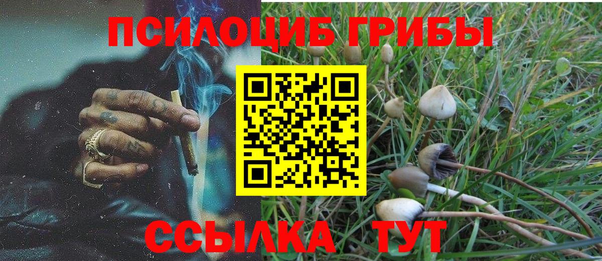 Псилоцибиновые грибы ЛСД Учалы